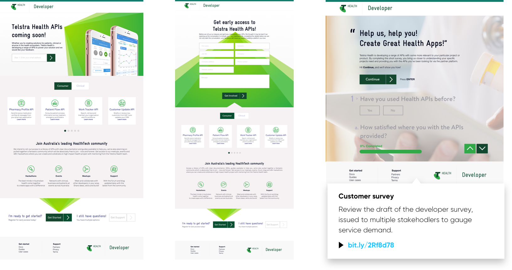 Developer requirements survey — wireframes and landing pages